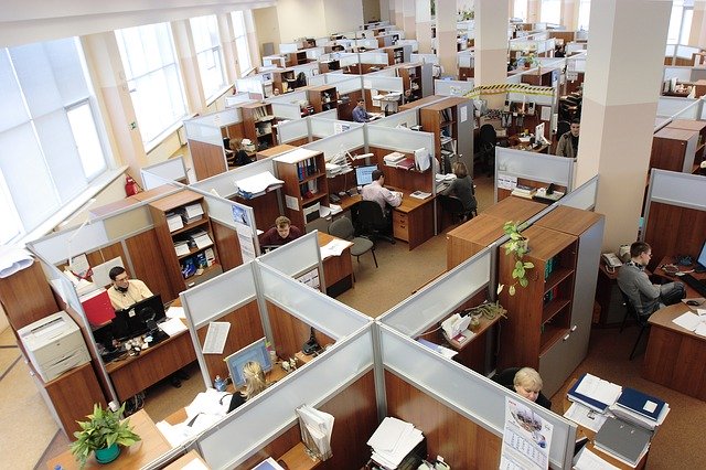 Workers in office cubicle